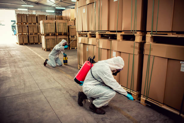 Best Affordable Pest Control Services  in Springfield, TN