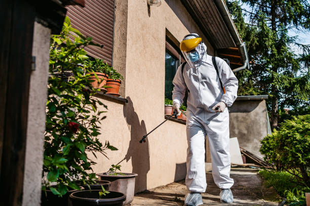 Best Local Pest Control Services  in Springfield, TN