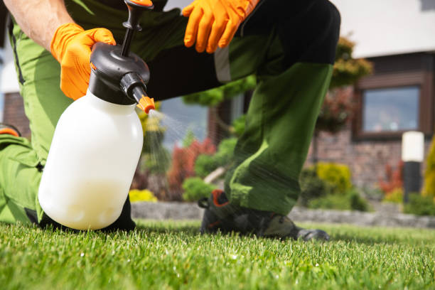 Best Residential Pest Control  in Springfield, TN