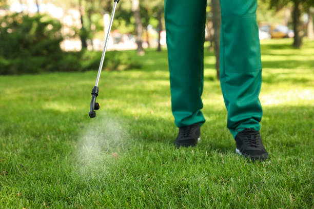 Best Pest Removal Services  in Springfield, TN