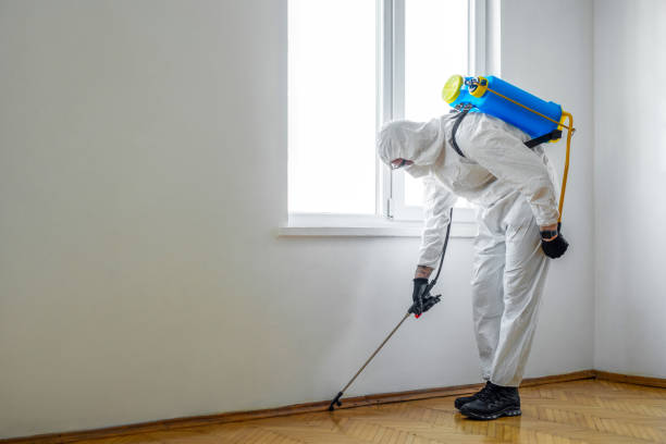 Best Wasp Removal Services  in Springfield, TN