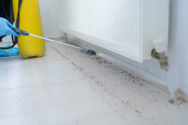  Springfield, TN Pest Control Pros