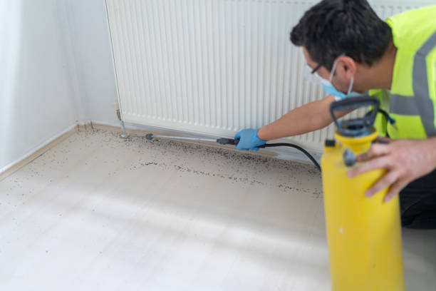 Best Exterminator Services  in Springfield, TN